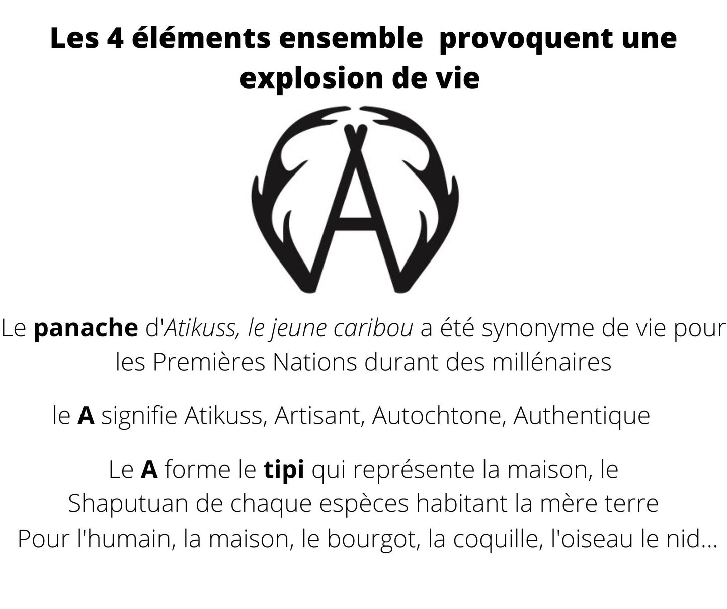 Petit fourre-tout collection Atikuss Les 4 Éléments modèle