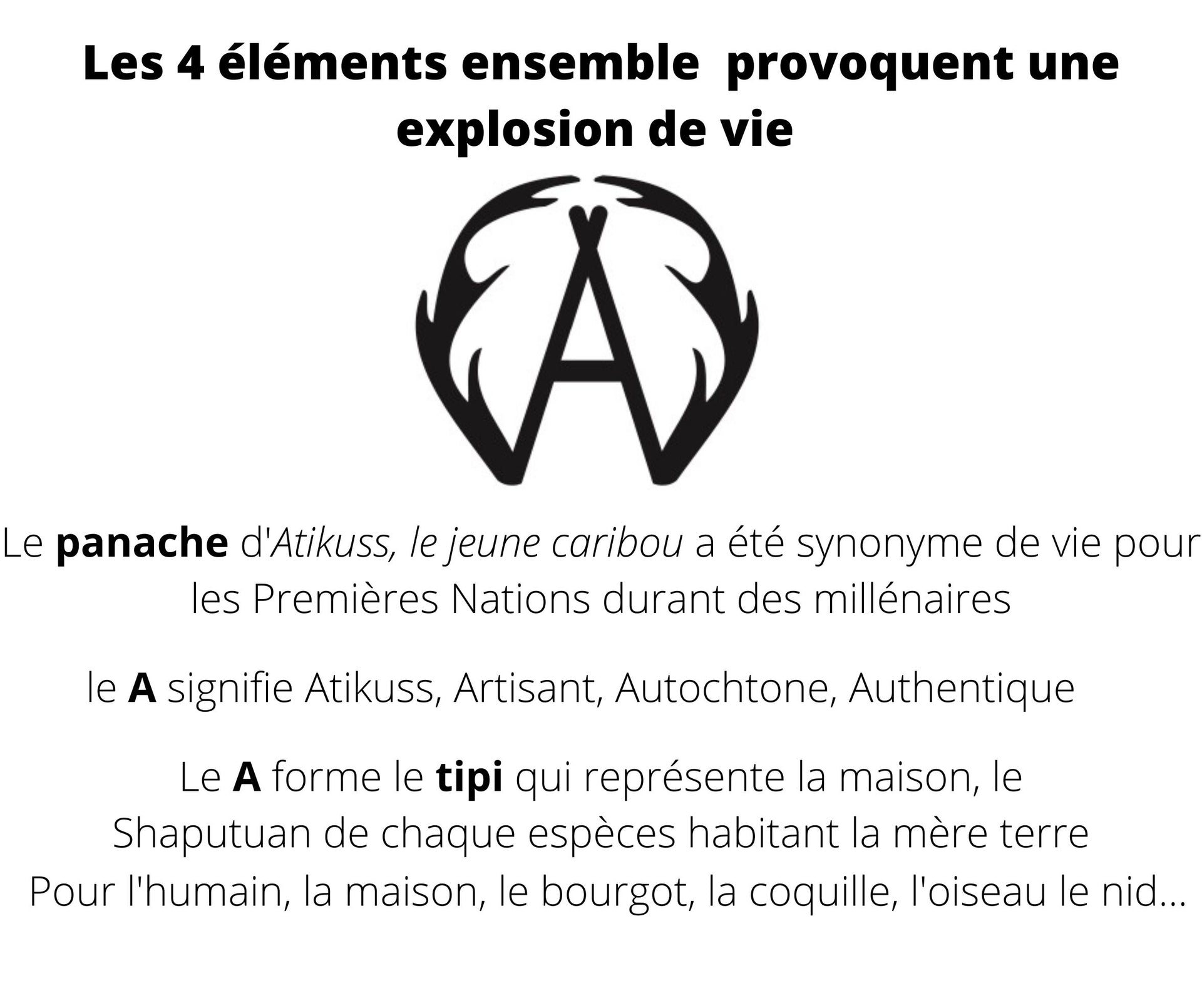 Petit fourre-tout collection Atikuss  Les 4 Éléments modèle