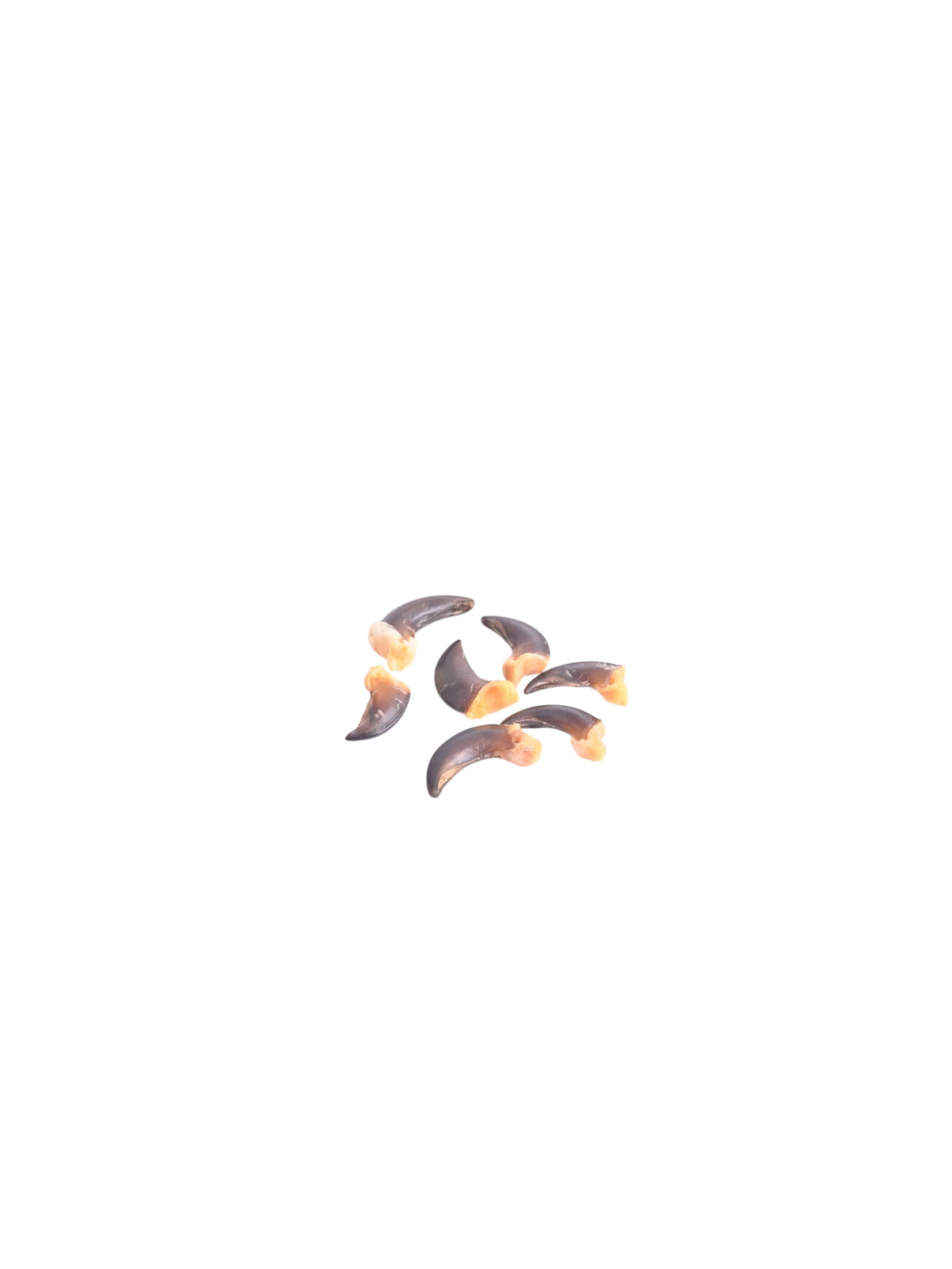 Griffes